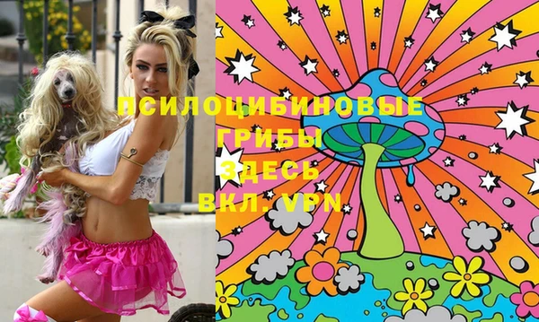 PSILOCYBIN Алексеевка