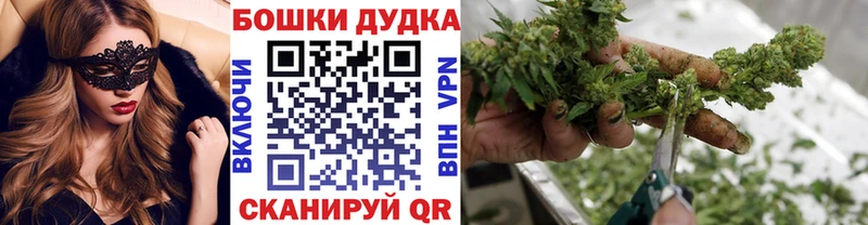 Конопля планчик  купить наркотики сайты  Жуковский 